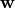 \mathbf{w}