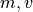 m, v