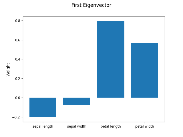 First Eigenvector