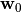 \mathbf{w}_0