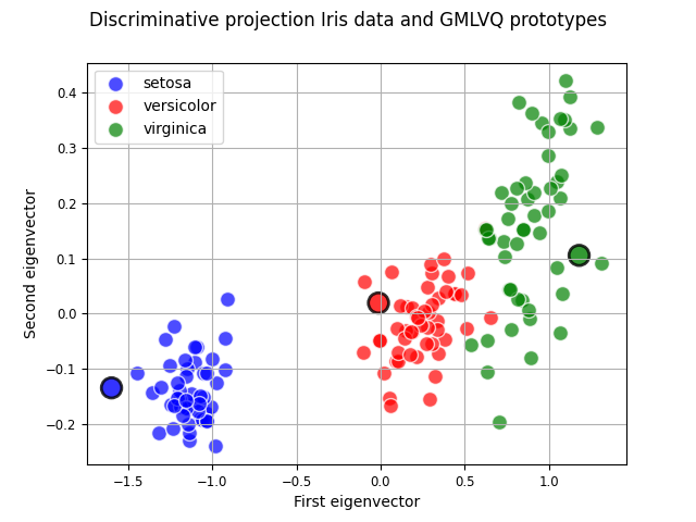 Discriminative projection Iris data and GMLVQ prototypes